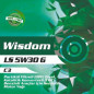 Huile Moteur DEW Wisdom LS 5L SAE 5W30 G WG0530005
