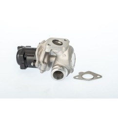 Vanne EGR WAHLER 711021D