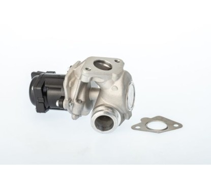 Vanne EGR WAHLER 711021D