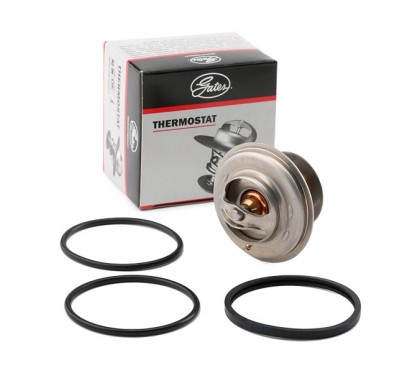 Thermostat d'eau (Calorstat) GATES TH05586G1