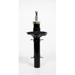 Amortisseurs QWP WSA104