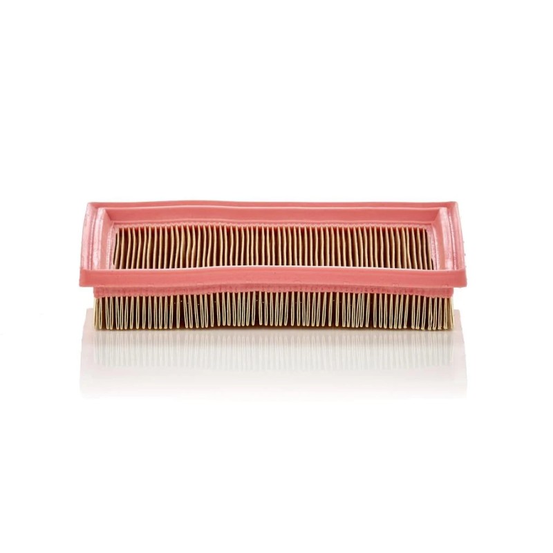 Filtre à air MANN-FILTER C 2244