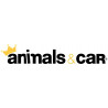 animals&car